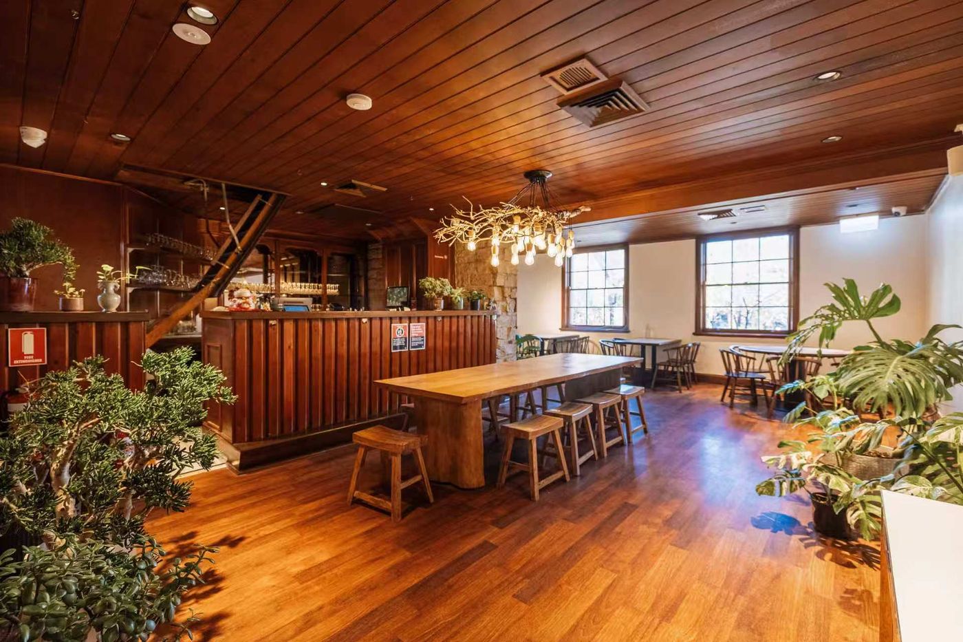 The long communal table and timber bar under the branch chandelier