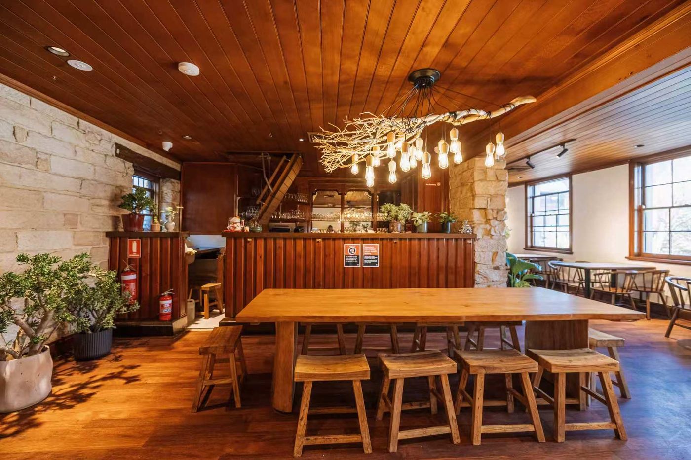 The branch chandelier hanging above the long communal table