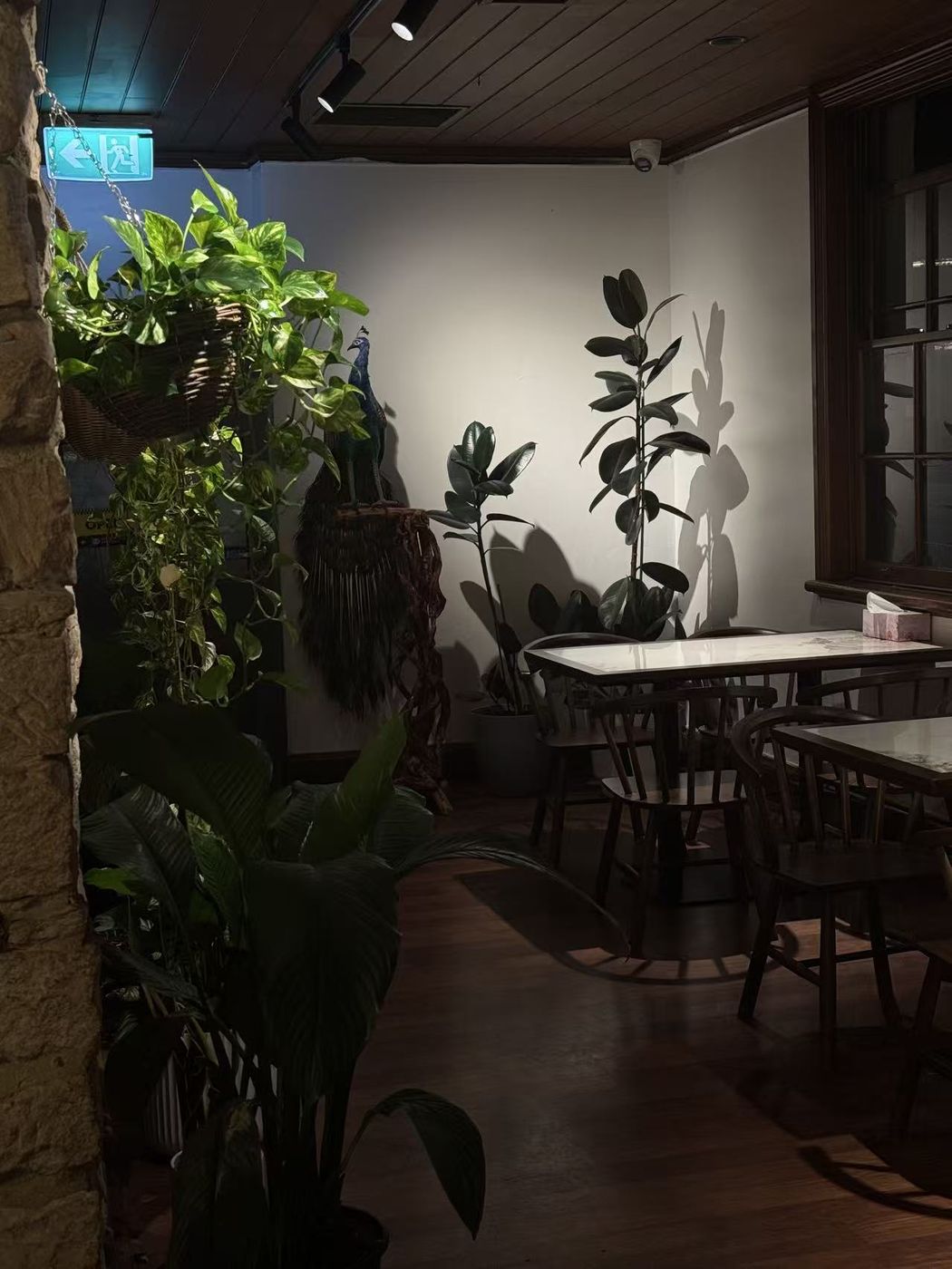 A softly lit dining corner in the evening with peacock ornament and greenery